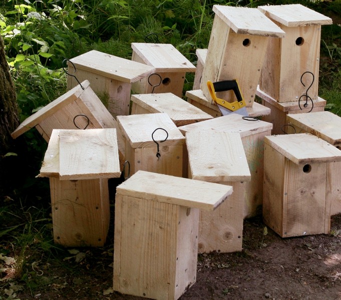 Vilniaus Kalnų parke bus remontuojami ir išvalomi inkilai. Kviečiame prisijungti prie talkos