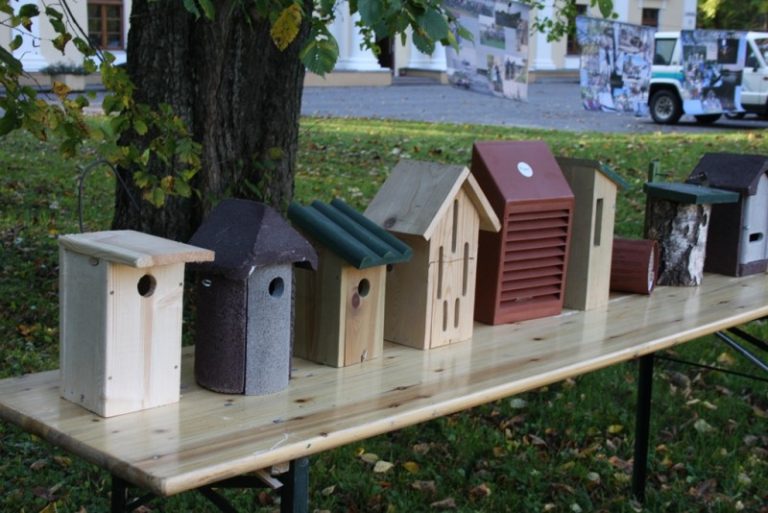 Kaziuko vaikų pasaulyje aplankykite ornitologų namelį