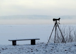 8 – tojo Kalėdinio paukščių stebėjimo maratono rezultatai