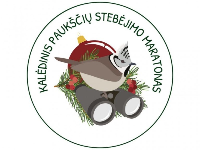 Kalėdinis paukščių stebėjimo maratonas 2024