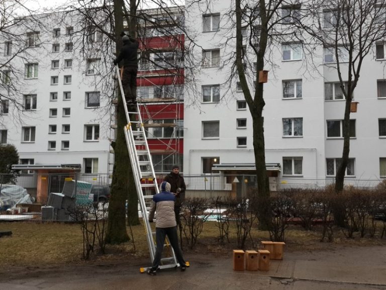 Kauno Eigulių seniūnijoje iškabinti 56 inkilai juodiesiems čiurliams