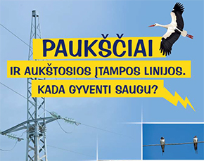 Išleista mokykloms skirta projekto „Birds on Electrogrid” knygelė