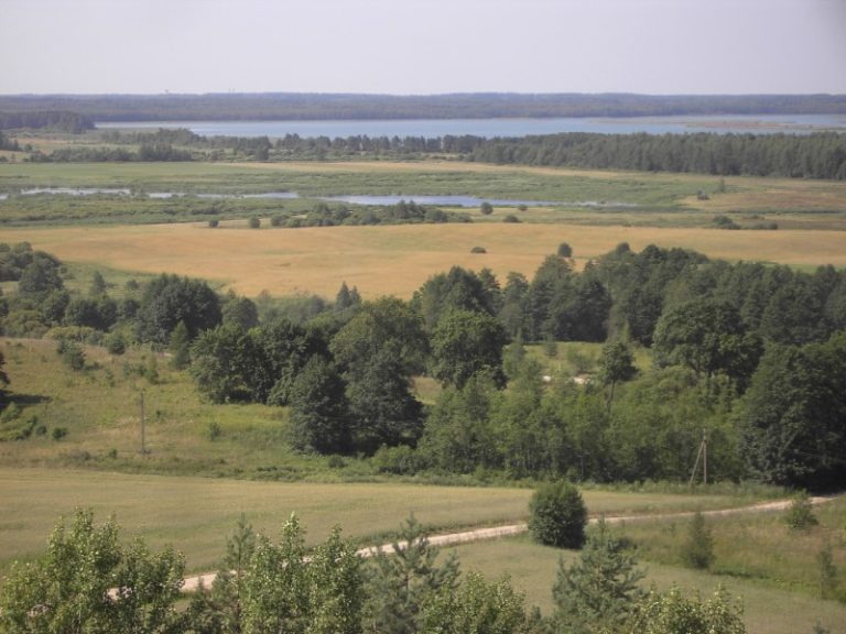 Kviečiame į talką.  Kretuono salos augalijos tvarkymas