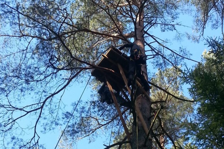 Įrengti lizdai laukia paukščių