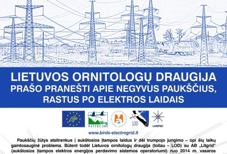 Kviečiame teikti informaciją apie nuo susidūrimo su elektros linijomis žuvusius paukščius