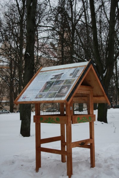 Kviečiame paskirti 2 %  žiemojančių paukščių globai