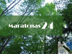 Savaitgalį vykusiame „Maratone24“ LOD nariai rinko duomenis apie perinčius paukščius