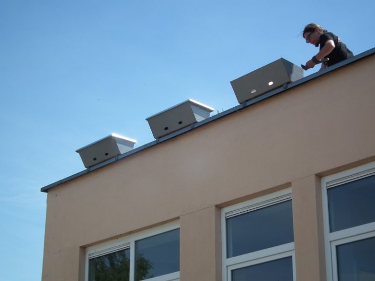 Iš miestų stumiamiems paukščiams ornitologai siekia padėti įrengdami specialias lizdavietes