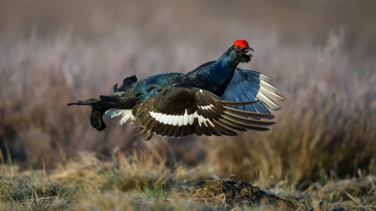 Lietuvos mokinių neformaliojo švietimo centre eksponuojama fotografijos paroda