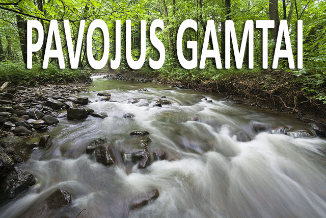 Pavojus gamtai: gamtosaugos organizacijos susivienijo prieš Europos Komisijos ketinimus susilpninti svarbiausius gamtosaugos įstatymus