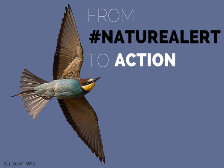 Pavojus gamtai! Reikia visų aktyvių piliečių pagalbos