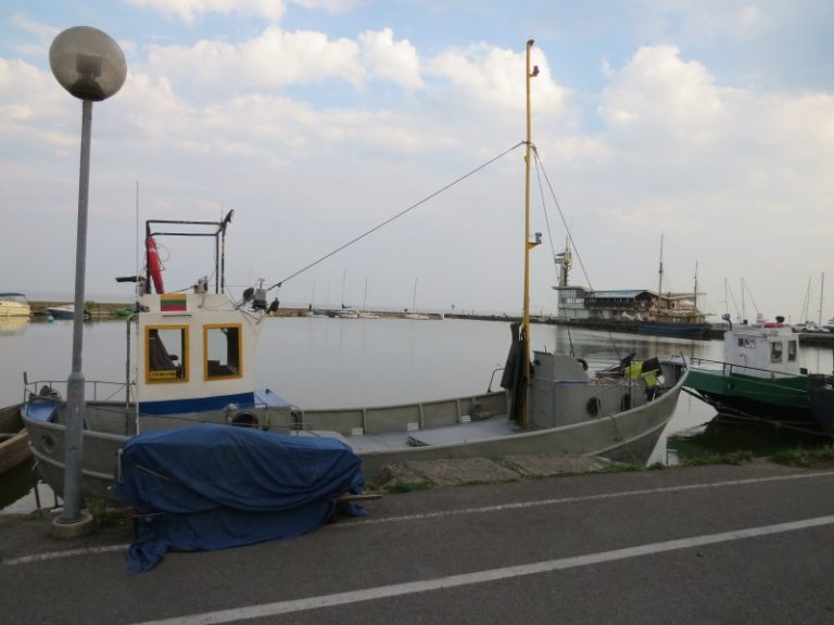 Jūrinių paukščių priegaudos mažinimui skirtas projektas įsibėgėja