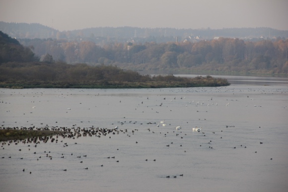 Klubas 250 – 2018 m. apžvalga