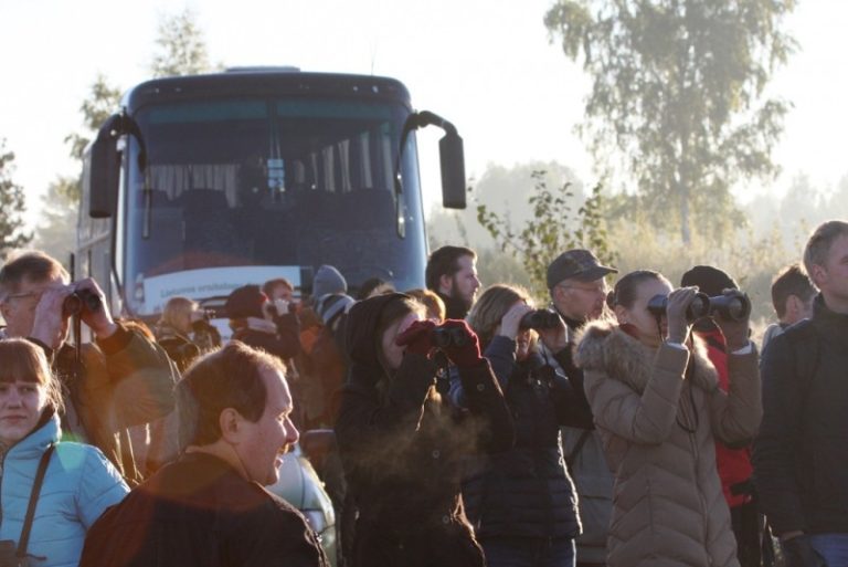 „Paukščių palydos – 2015“. Išvyka į Baltosios Vokės žuvininkystės tvenkinius (nebėra vietų 2015-09-30)
