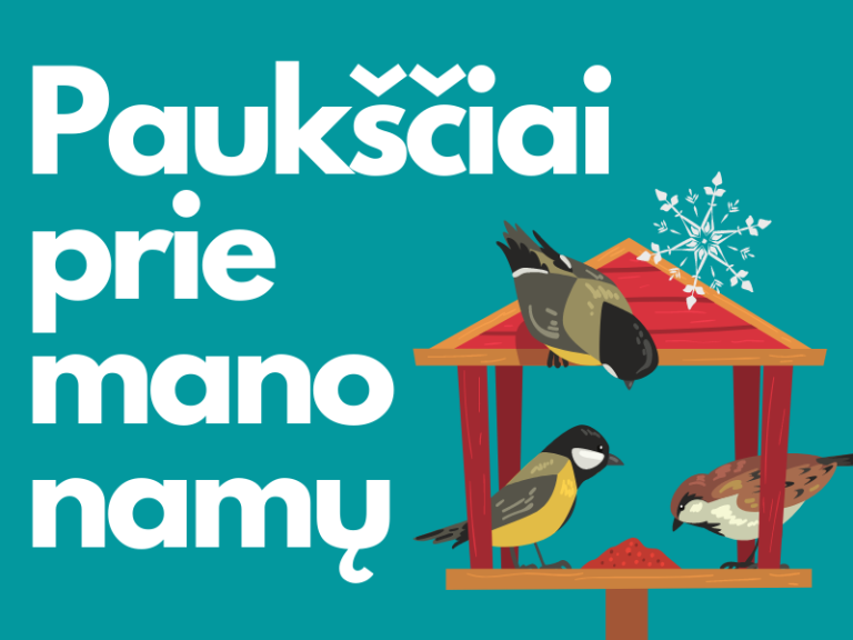 Paukščiai prie mano namų 2023