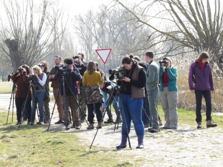Nauja Lietuvos ornitologų draugijos iniciatyva – „Klubas 250“
