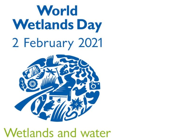Pasaulinė pelkių diena. Ramsaro konvencijai 50 metų