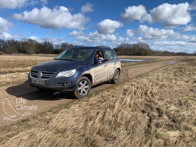 Nemuno deltoje stebima vis mažiau migruojančių žąsų