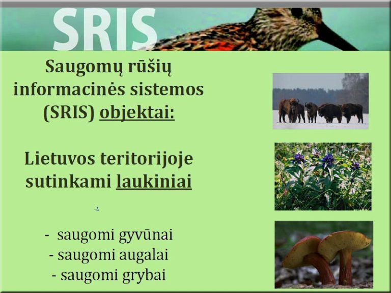 Saugomų rūšių informacinei sistemai LOD jau pateikė daugiau kaip 14 tūkstančių anketų