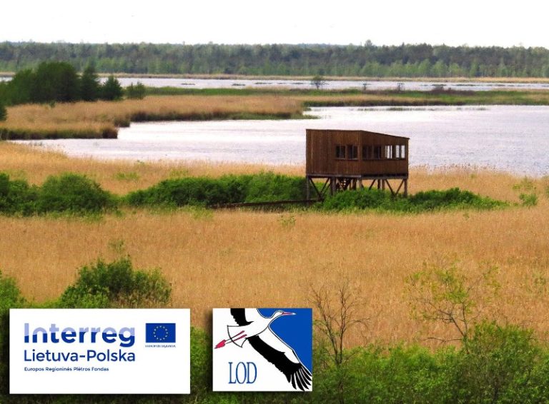 Pasitikime sugrįžtančius paukščius prie Žuvinto ir Amalvo ežerų