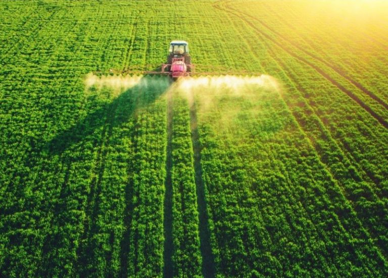 2021 metus palydėjome su nelinksmomis žiniomis apie vis blogėjančią Europos paukščių būklę