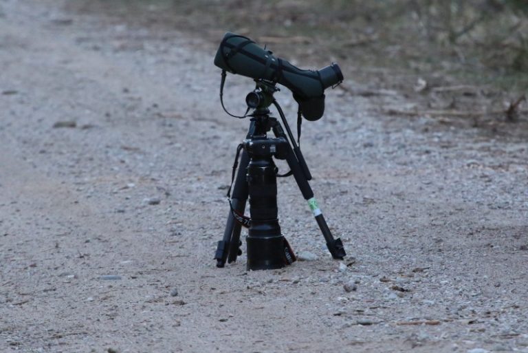 4P kursų dalyviai prisijungė prie ĮPGS mokymų Kaune