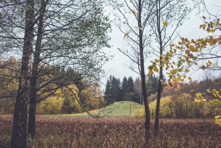 Kviečiame į pasivaikščiojimą po rudenėjančias Ribiškių kalvas su botaniku Almantu Kulbiu (nemokama ekskursija)