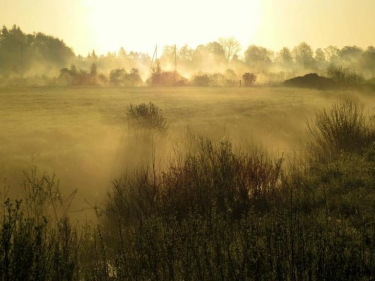 Dabar – geriausias metas vykdyti LPPA darbus