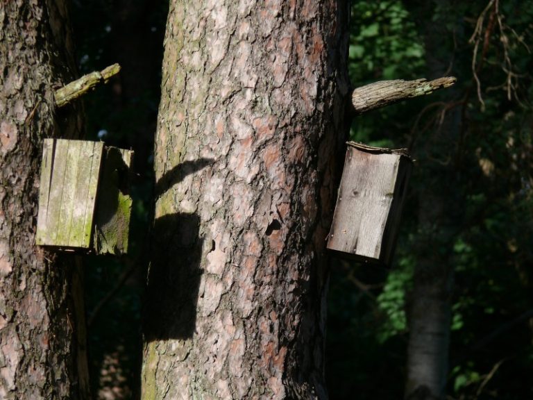 Kviečiame į talką!