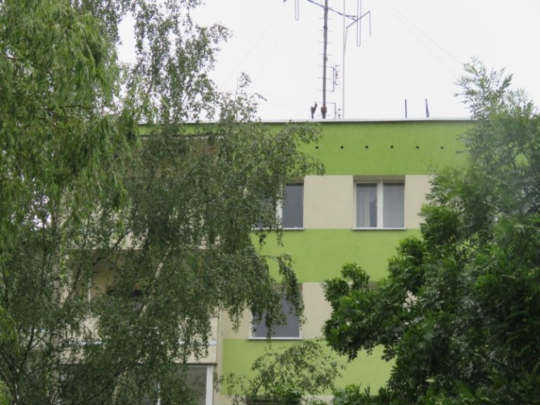 Aplinkos ministerija žada imtis priemonių juodųjų čiurlių lizdaviečių išsaugojimui