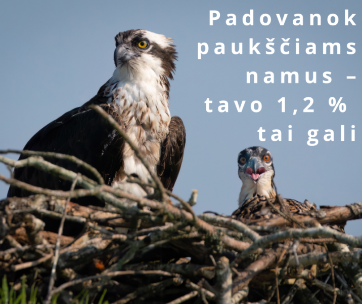 Padovanok paukščiams namus – tavo 1,2 proc. tai gali