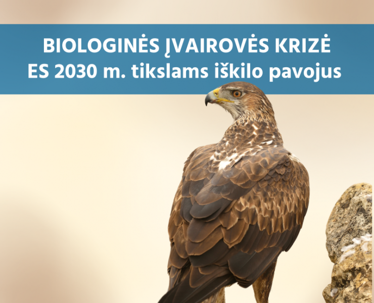 Nauja ataskaita: ES nesiekia 2030 m. biologinės įvairovės tikslų