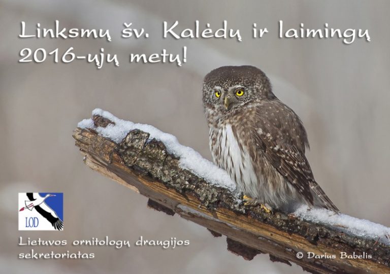 Linksmų šv. Kalėdų ir laimingų 2016-ųjų metų!