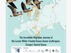 Išleistas 2025 m. LIFE LWfG Climate projekto kalendorius