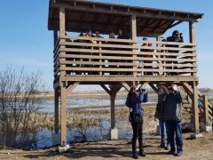 Paukščių stebėjimo bokšteliuose varžybos 2023