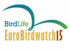 Išlydėjome daugiau nei 600 000 paukščių!