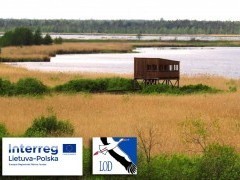 Pasitikime sugrįžtančius paukščius prie Žuvinto ir Amalvo ežerų! (Registracija baigta)