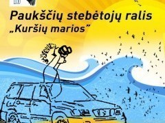 Paukščių stebėtojų ralis „Kuršių marios 2018” / Birdwatching Rally „Curonian Lagoon 2018” (Atnaujinta/Update 2018-10-02)
