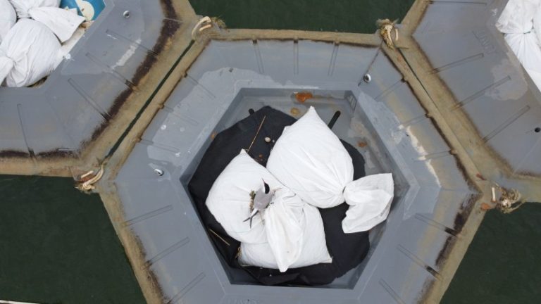 Neįprasta upinių žuvėdrų kolonija Elektrėnuose