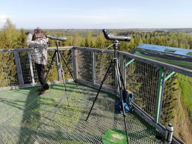 Gegužės 4 d. vykusių Paukščių stebėjimo bokšteliuose varžybų rezultatai