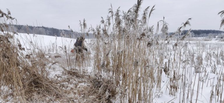 Kviečiame į talką Niedaus ežero saloje
