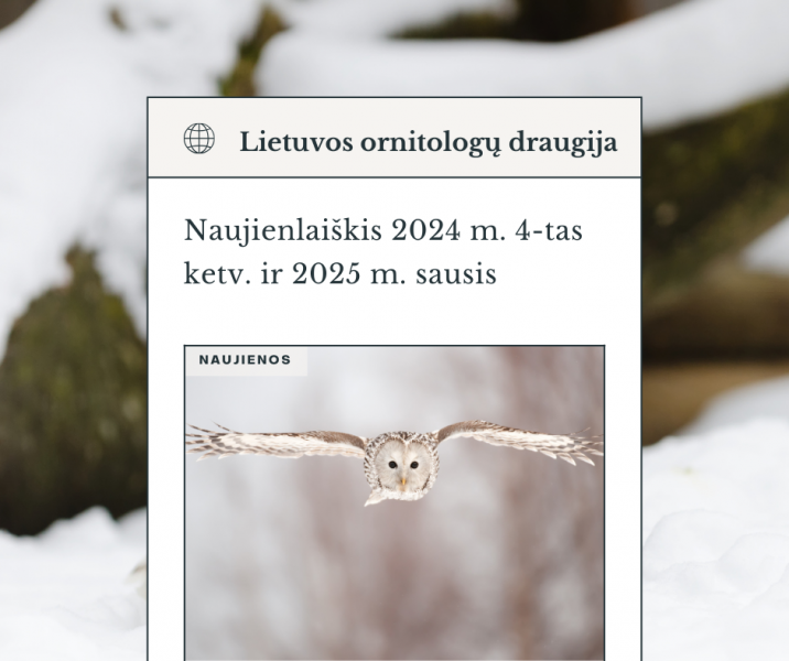 Kviečiame skaityti 2024 m. IV ketv. – 2025 m. sausio mėn. naujienlaiškį