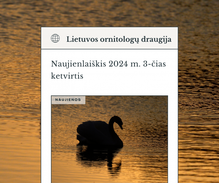 Kviečiame skaityti 2024 m. 3 ketvirčio naujienlaiškį