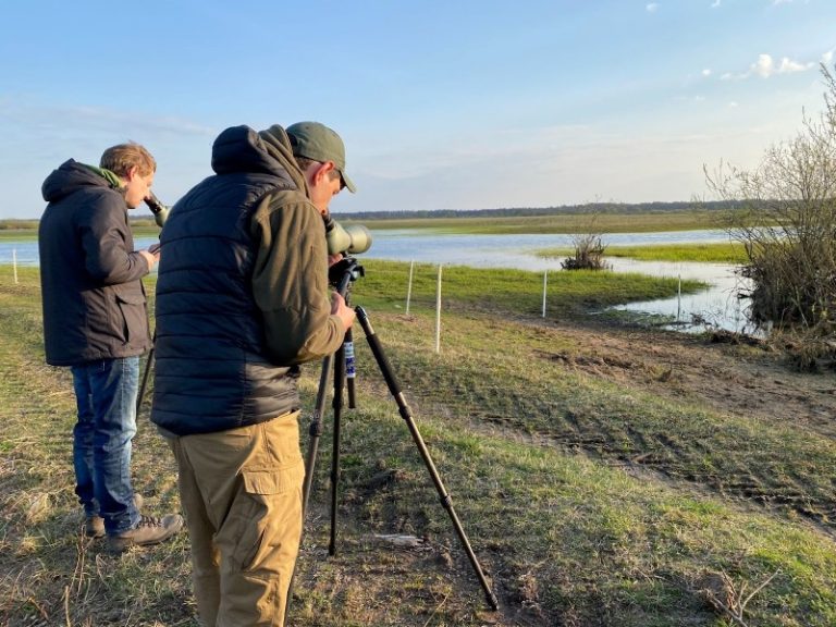 Į laukus – paskui mažąsias žąsis