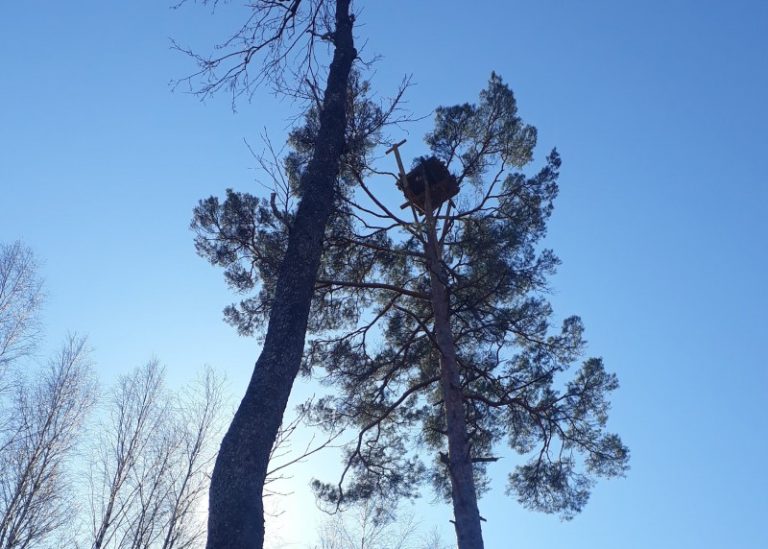Į pagalbą žuvininkams
