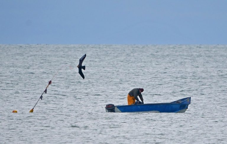 Suradome būdų, kaip sumažinti paukščių priegaudą statomuose žvejų tinkluose