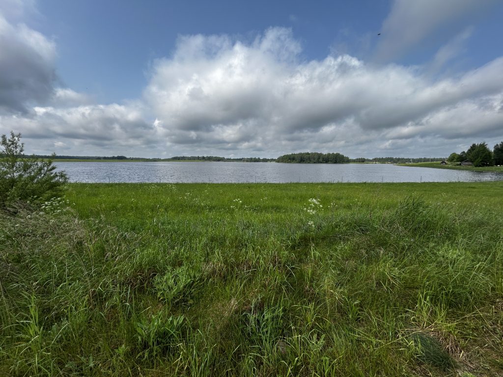 Svylos slėnio pievos vasaros pradžioje