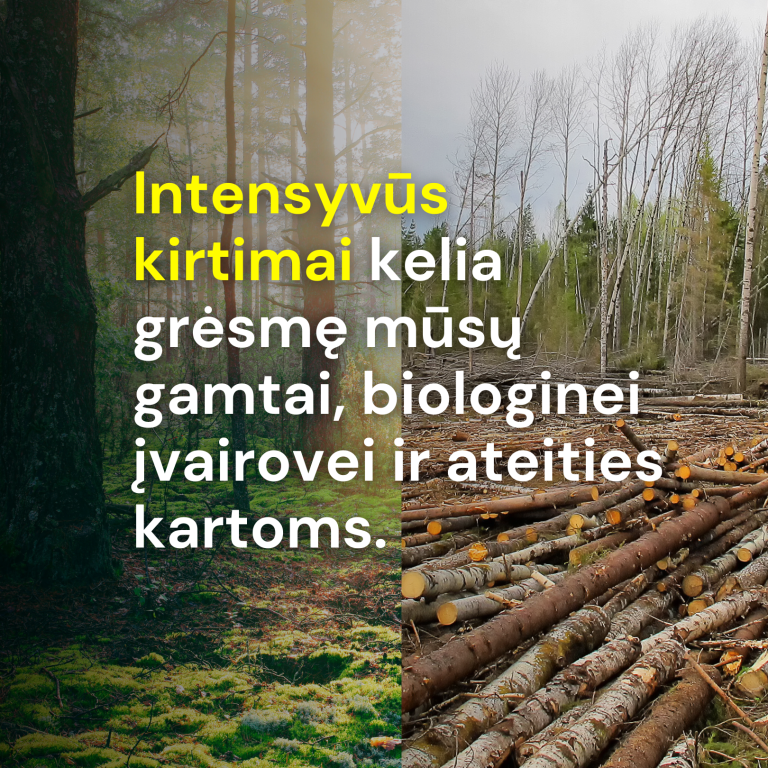  Kviečiame parašyti SEIMO NARIAMS dėl miškų!