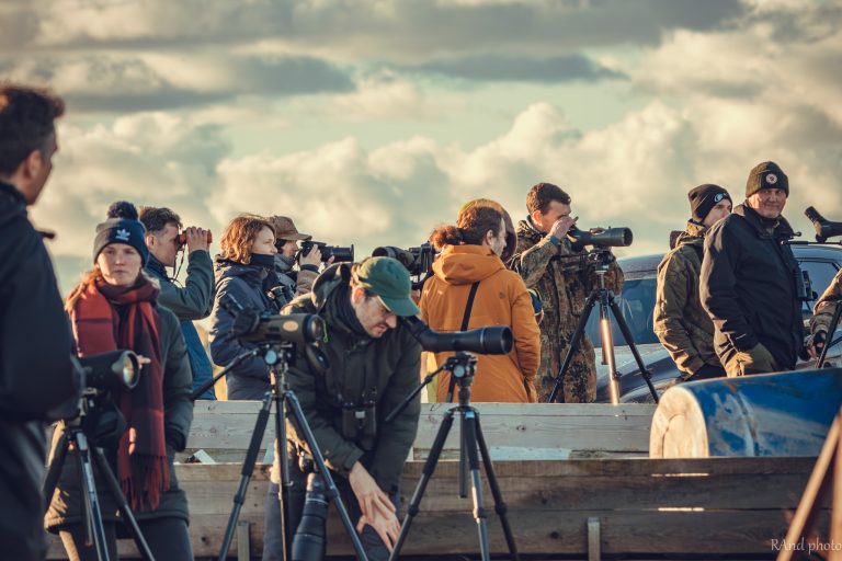 26-asis paukščių stebėtojų ralis ,,Kuršių marios 2025“ – užfiksuotas rekordinis paukščių rūšių skaičius