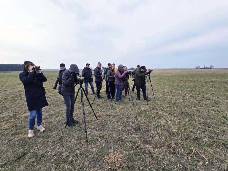 Nuo 2026 m. keičiasi Lietuvos ornitologų draugijos nario mokesčio dydis